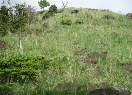 山の尾根に分布する積石塚と土石混合墳からなる６～７世紀の群集墳で、　その総数は38基というが、そのうちの24基が愛知県指定史跡として保存。