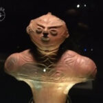 北海道初の国宝「中空土偶」を常設展示