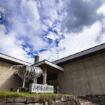 山形県の自然や歴史・文化の概要を紹介する総合博物館として、山形市の中央部である霞城公園（史跡山形城址）に位置します。