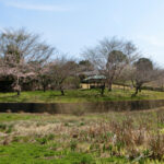 古代家屋復元広場、鹿の子史跡公園「石岡の歴史」展示室などがあり、常陸国の古代から近世の歴史に触れることができます。