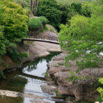 砥部川により洗い出され、断層や岩石が露出する「露頭(ろとう)」は、断層の成り立ちを見ることができる貴重な場所であり、県内外から多くの人が訪れています。