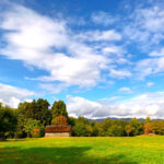 馬高遺跡は縄文時代中期(約5500年前~4500年前)に栄えた大規模集落で、縄文時代を代表する土器といえる「火焔土器」が出土しました。