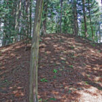 敏達天皇の皇子頼勝親王の墓と伝えられる、全長58mの前方後円墳です。その規模は、前方部は幅32m、高さ7.7m、後円部は直径30m、高さ7mで県下唯一の車塚形式の古墳です。