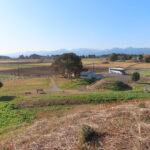 総数207基からなり、後期(6世紀)の古墳群としては県内最大。百足塚(むかでづか)古墳出土の形象埴輪群 が有名。 「発掘された日本列島2006年」展で紹介されている。