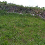 トコロ貝塚は、標高約18～20ｍの常呂川右岸台地にあります。貝塚は主として縄文時代中期（約4500年前）に残されたもので、南北110m、東西60mにわたって広がっており、貝塚としては道東部で最大規模のものです。