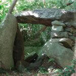 神方（かみがた）古墳は前方郷相津と前方後目地区の境にある、ほぼ南に開口する横穴式石室墳です。天井石はほとんど持ち去られていますが、側壁は良好な状態で遺存し、その規模は奥行き約3.5ｍ、幅約２ｍ程度と推測されています。